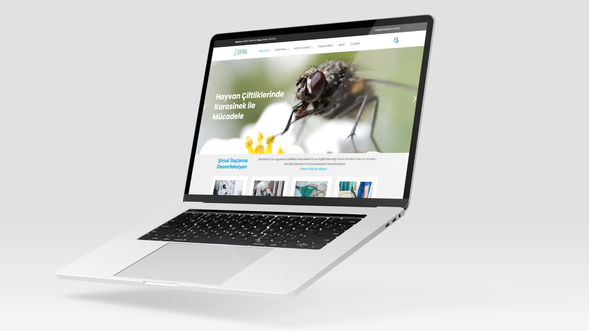 Web tasarım çalışması